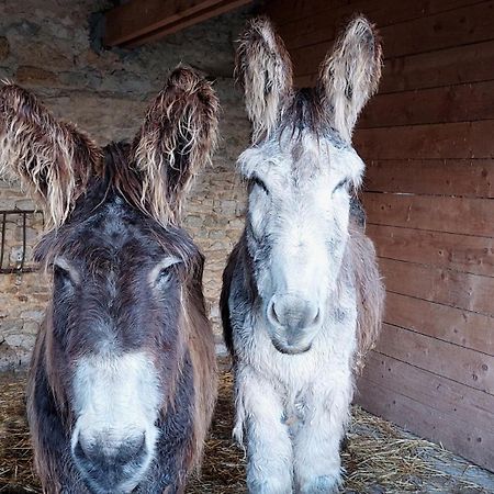 Saint-Vigor-le-Grand Les Perelles Bed & Breakfast エクステリア 写真