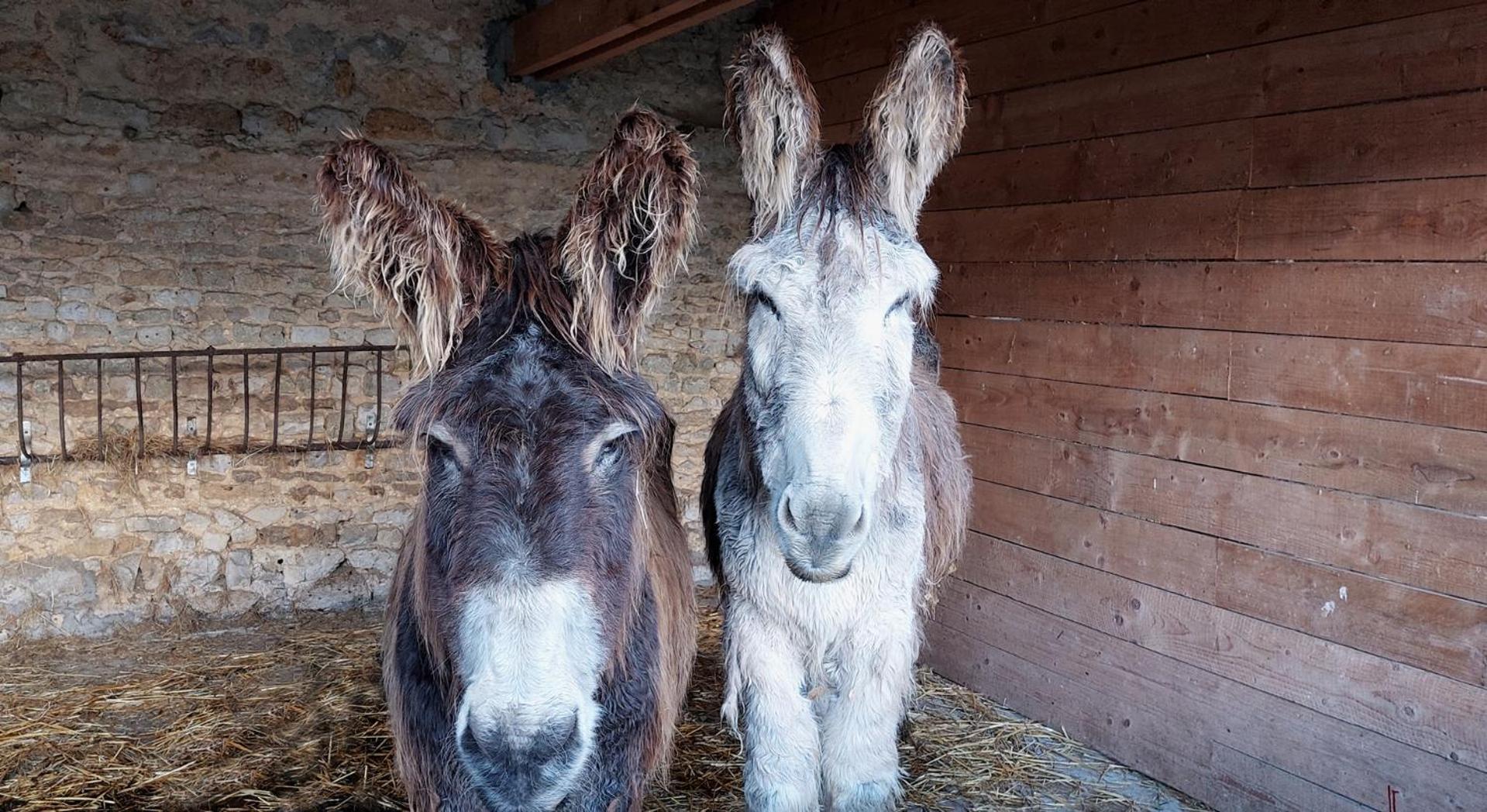 Saint-Vigor-le-Grand Les Perelles Bed & Breakfast エクステリア 写真